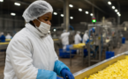 Empresa SEARA é condenada por permitir comentário racistas no ambiente de trabalho